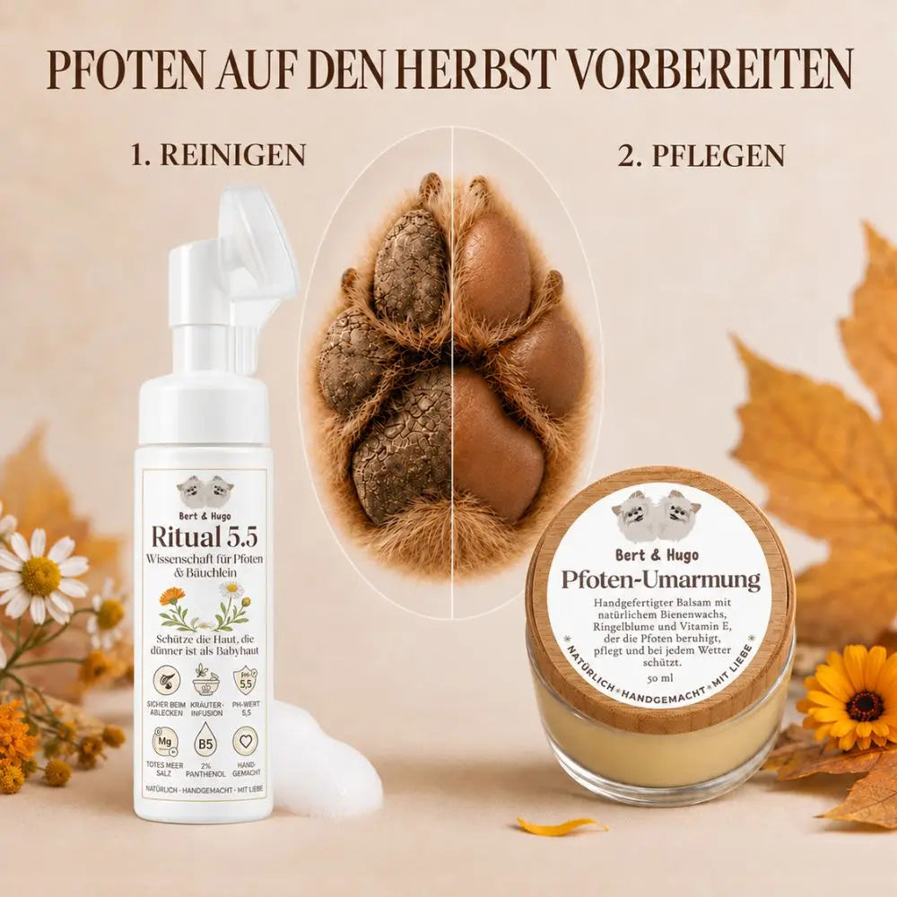 Adventure Trio: Unbeschwerte Waldspaziergänge & Premium-Pflege für deinen Hund