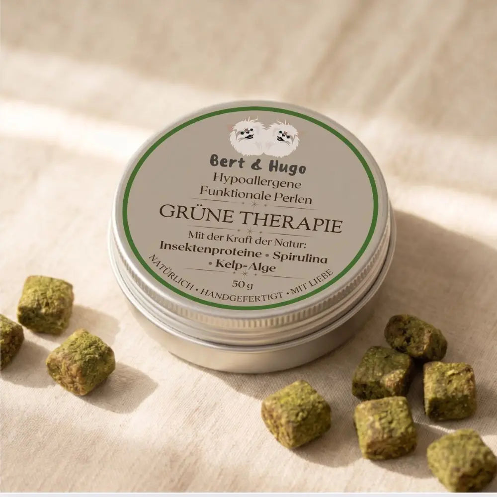 Bert & Hugo Grüne Therapie - Hypoallergene Funktionale Perlen