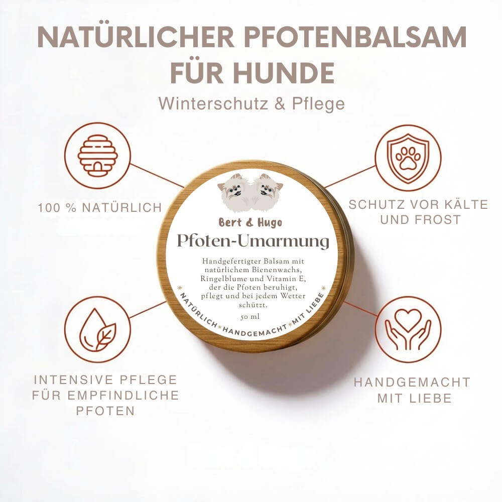 Adventure Trio: Unbeschwerte Waldspaziergänge &amp; Premium-Pflege für deinen Hund