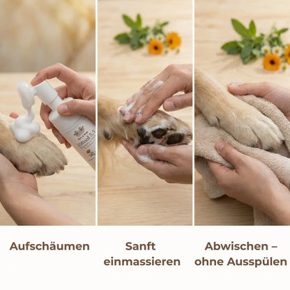 Adventure Trio: Unbeschwerte Waldspaziergänge &amp; Premium-Pflege für deinen Hund